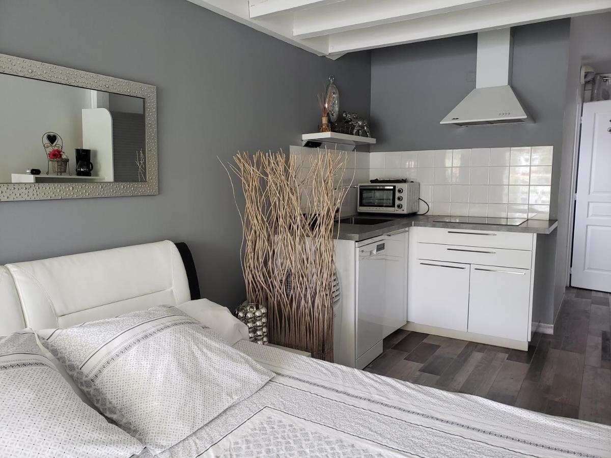 Studio Zure Ondoan - Spa Et Piscine Chauffee Tarnos Exteriör bild